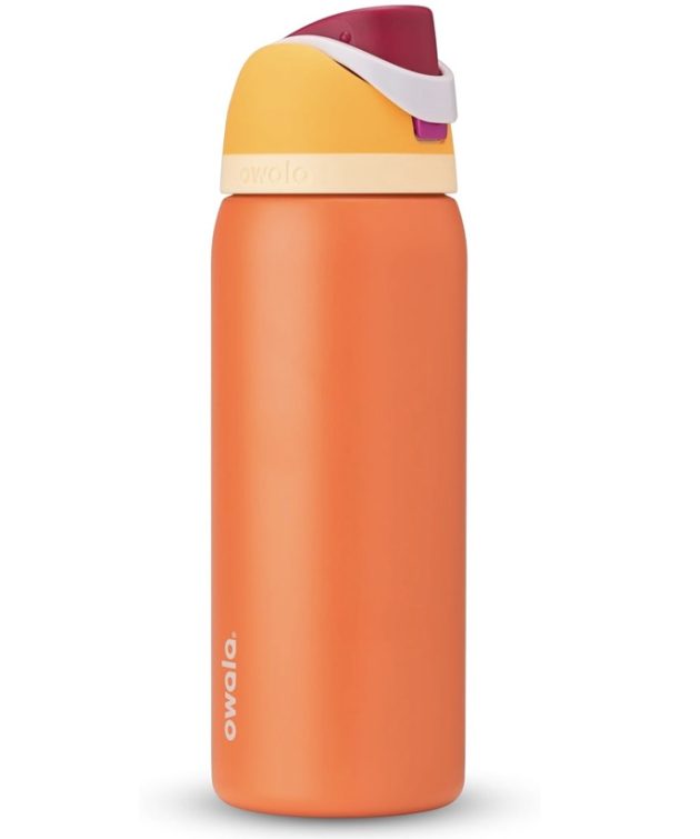 Owala FreeSip Insulated Stainless Steel Water Bottle with Straw